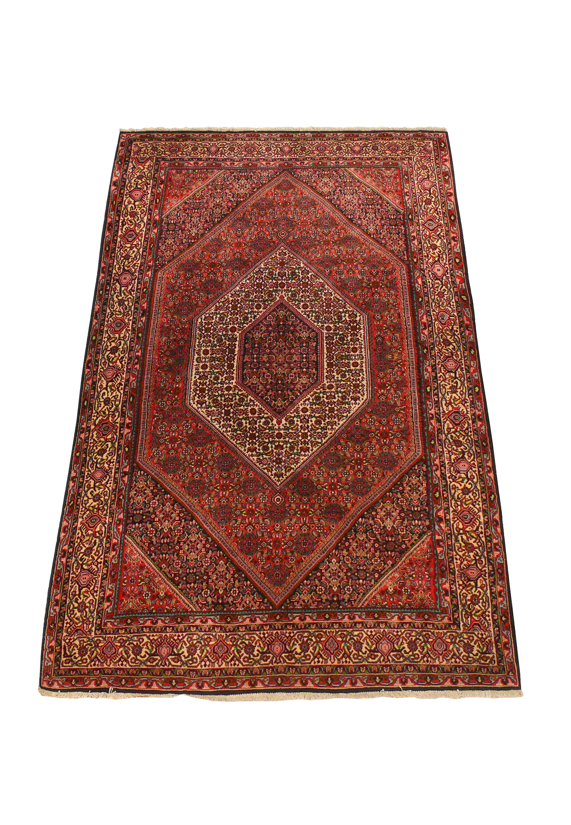Side view of a 5 x 8'8 Persian Bijar Rug, showcasing the border and intricate patterns.