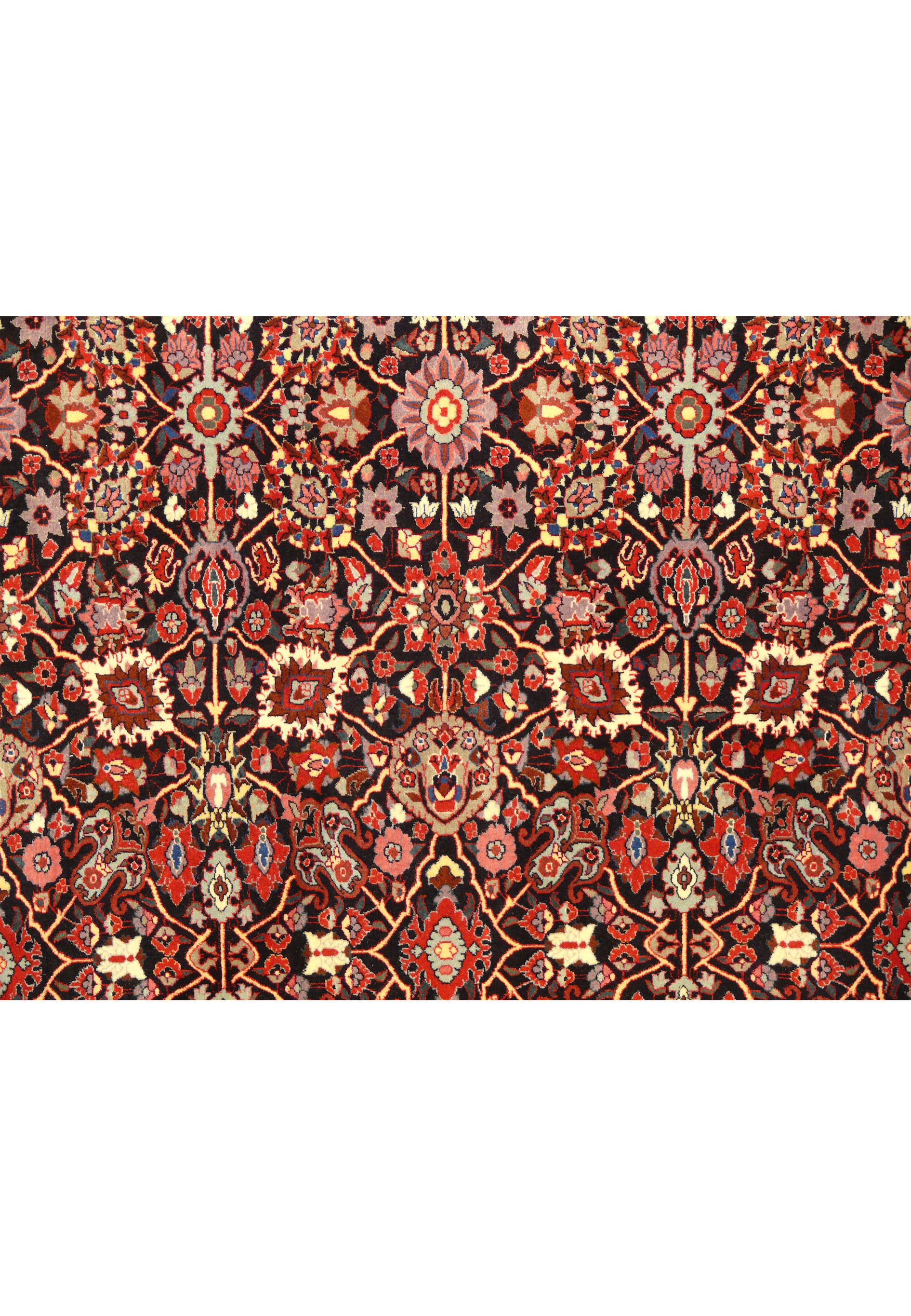 Central pattern of 6'6 x 8'4 Persian Bijar Rug