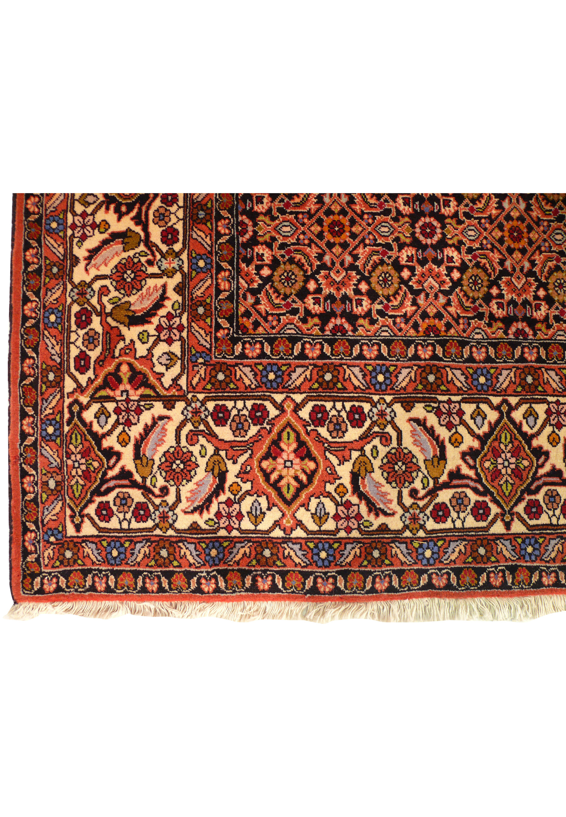 Corner edge of Persian Bijar rug showing ivory border with birds, flowers, and geometric motifs