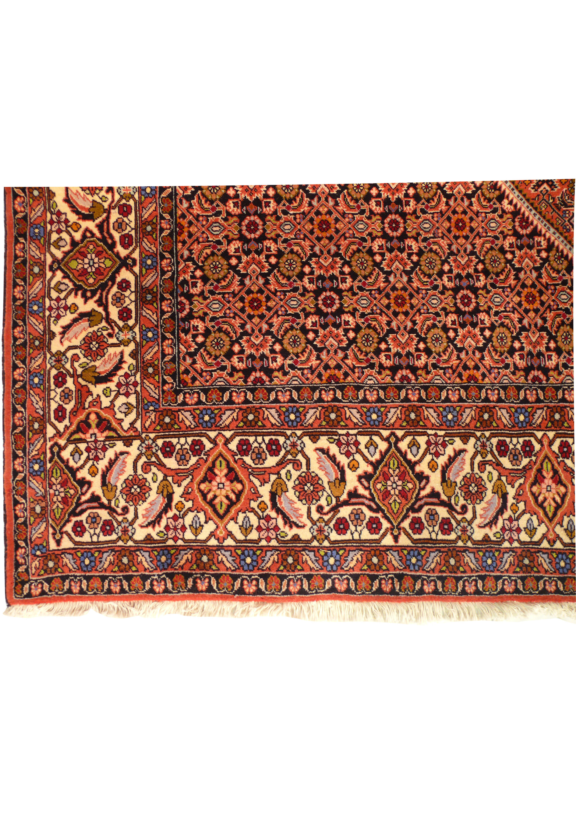 Close-up of the border design on Persian Bijar rug featuring stylized flowers and tribal bird motifs