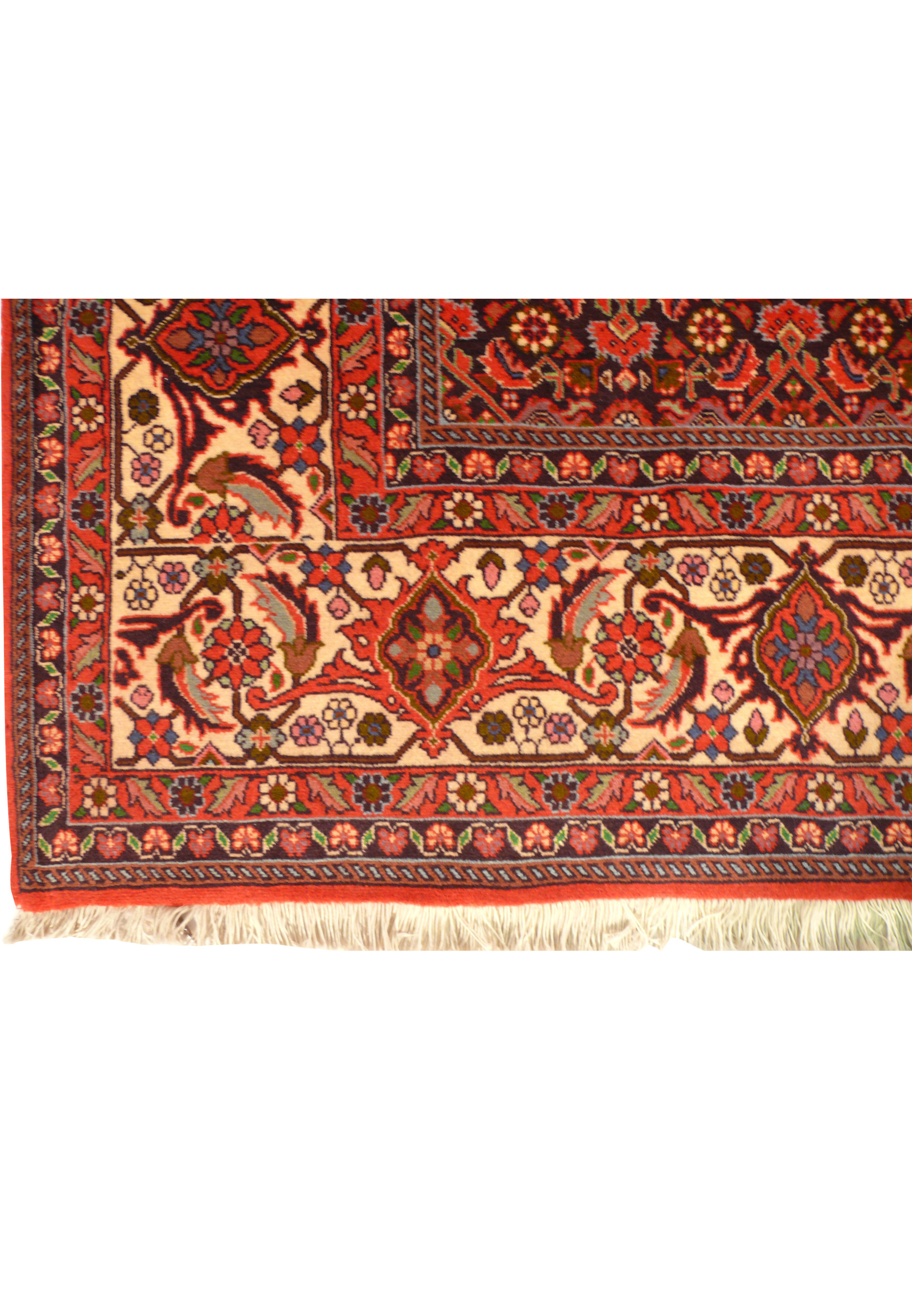 Alternate corner close-up highlighting palmette border motifs, rust guard bands, and secure fringe of Bijar rug.