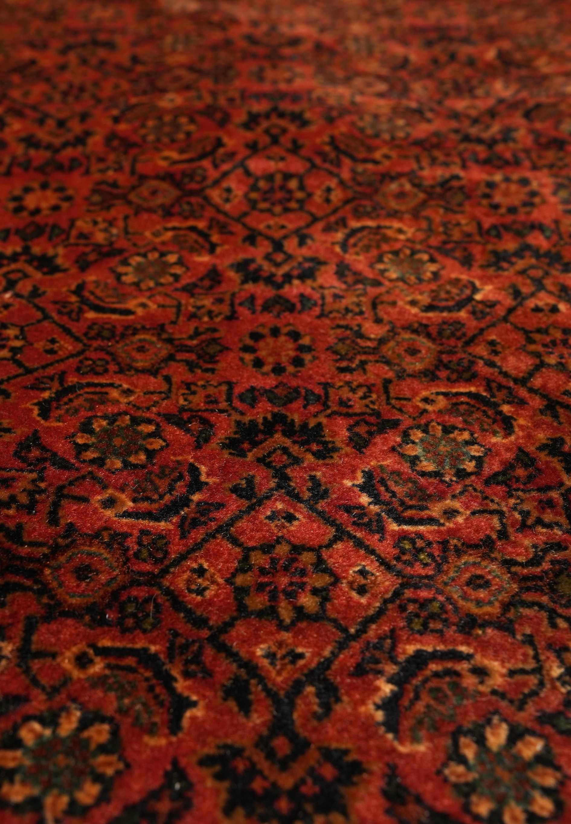 Texture of antique Bijar rug wool pile with strong knot density