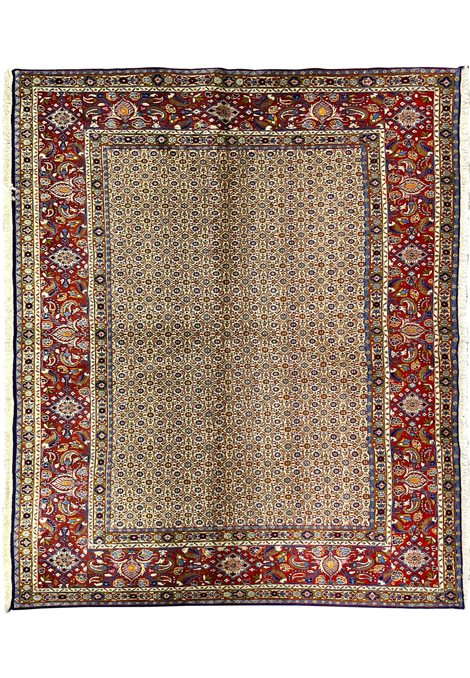 Full view of 6'4 x 8 Persian Moud All-Over Rug with ivory field and red border
