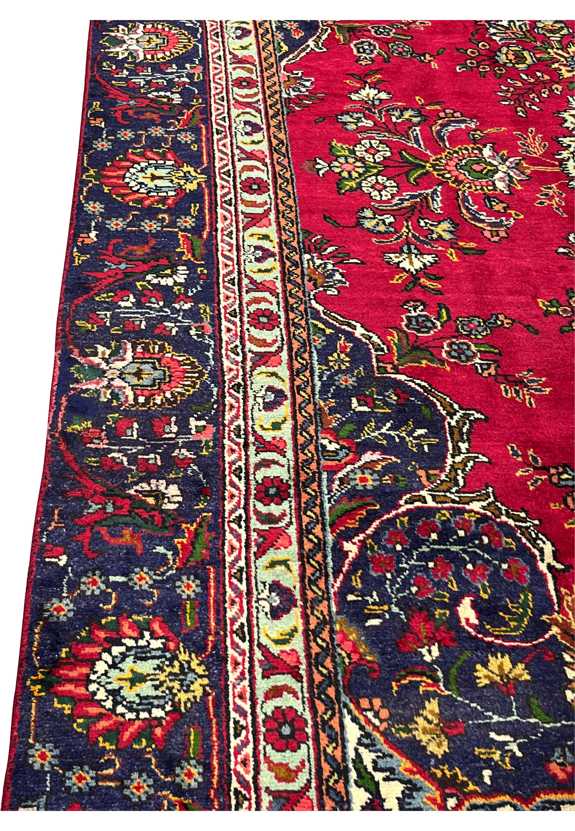 Detailed side border of 8'5" x 12'9" Persian Tabriz rug with rosettes and vines in navy and ivory