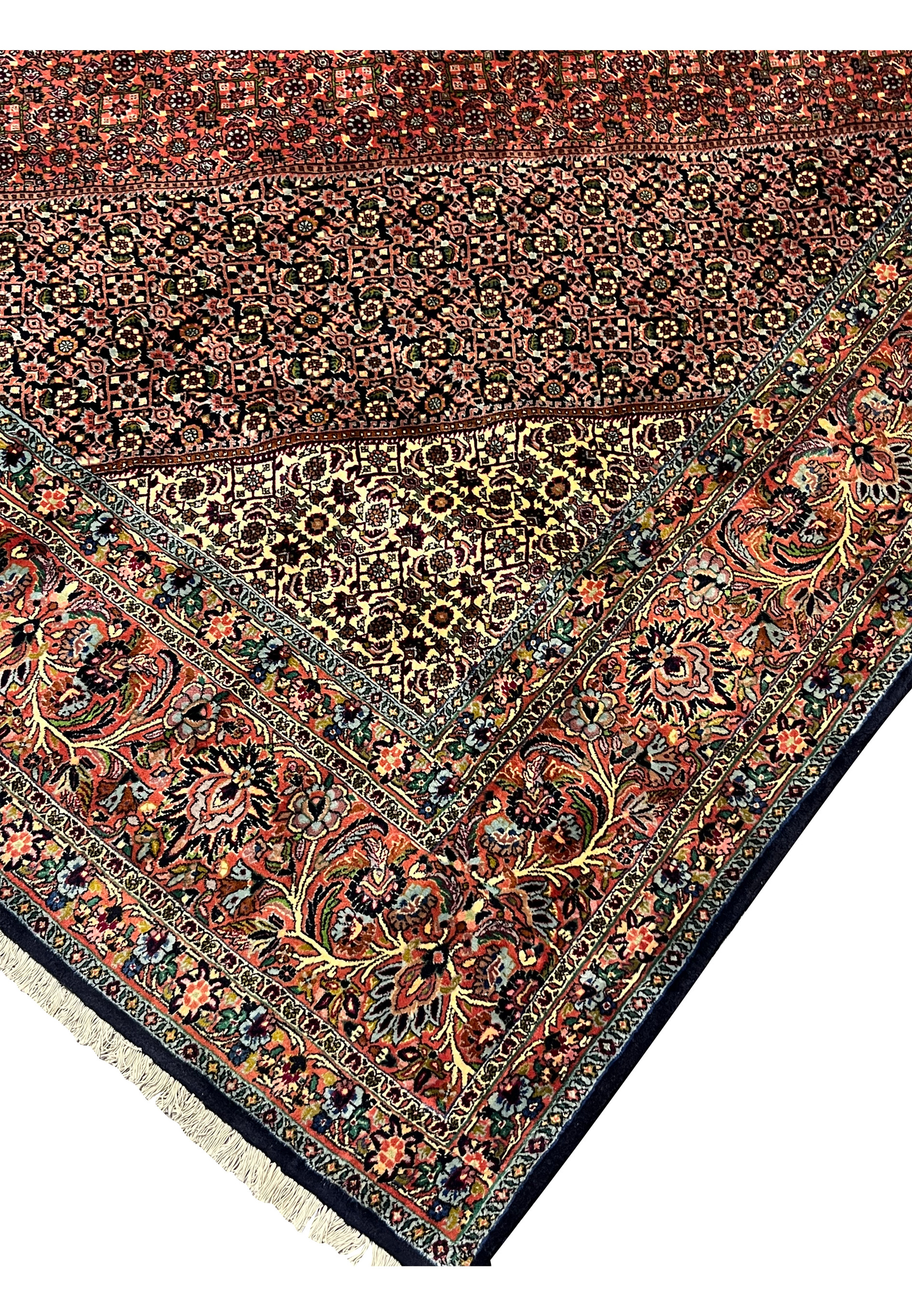 Close-up of lower border on Bijar rug with detailed floral vinework in brick red, navy, and green
