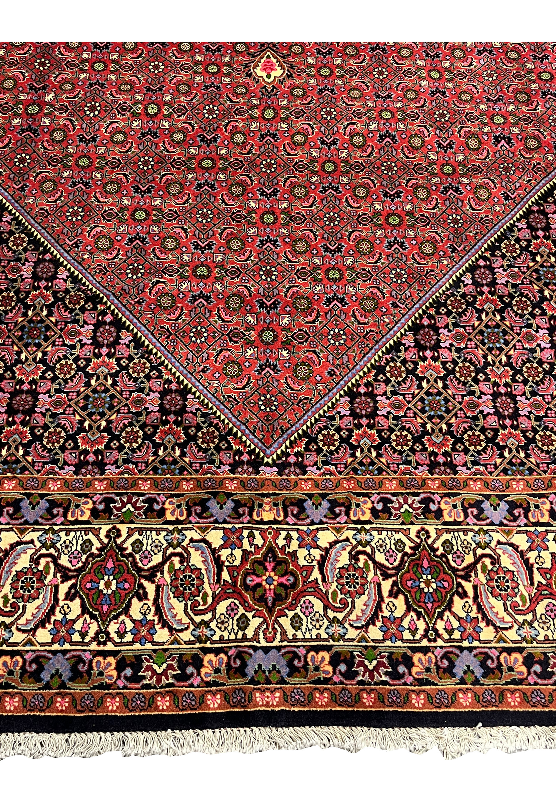 Lower border close-up of Persian Bijar rug showing thick wool pile, ivory floral scrollwork, navy outlines, and tightly packed construction