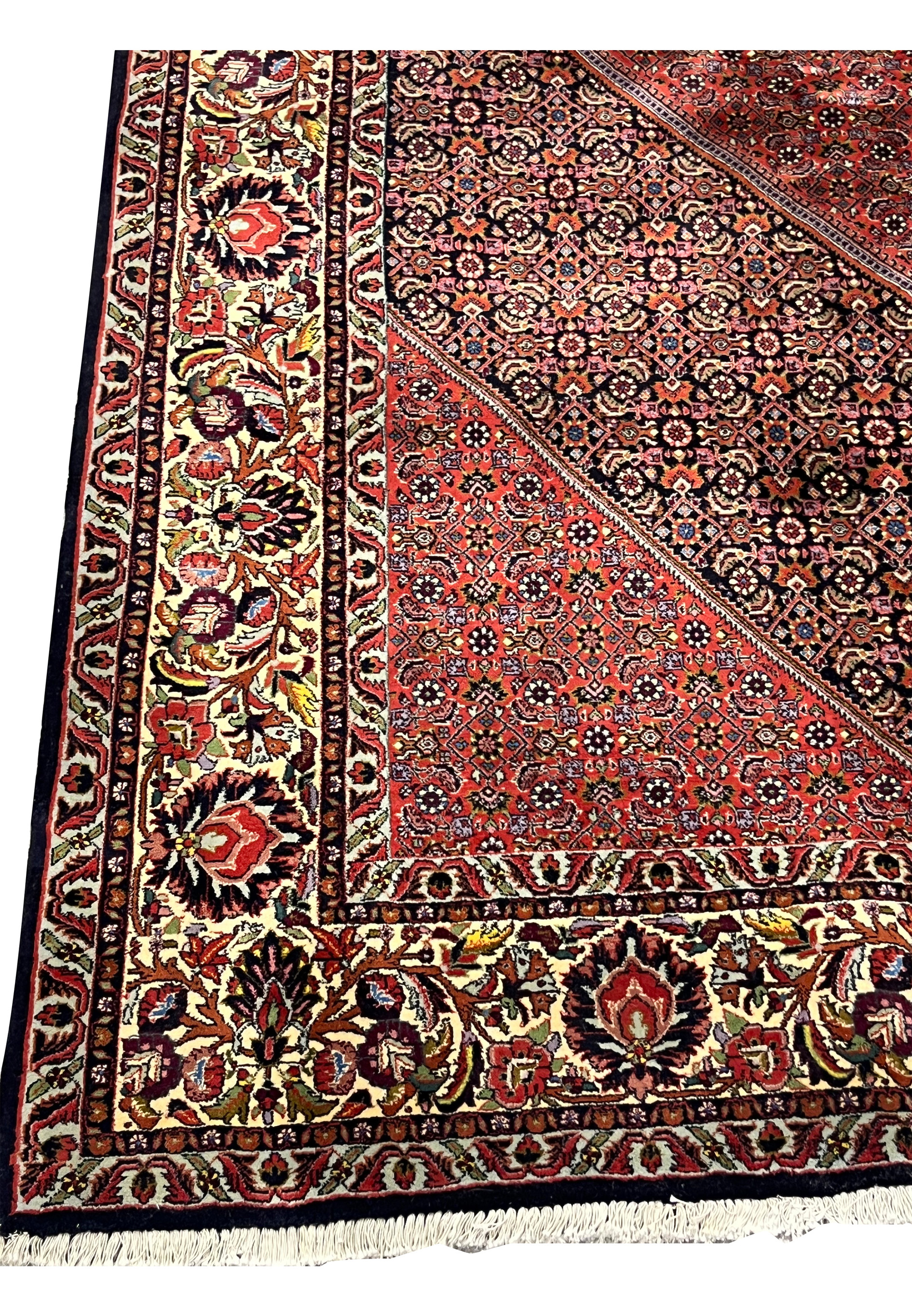 Wide outer border of Persian Bijar rug with scrolling floral vines