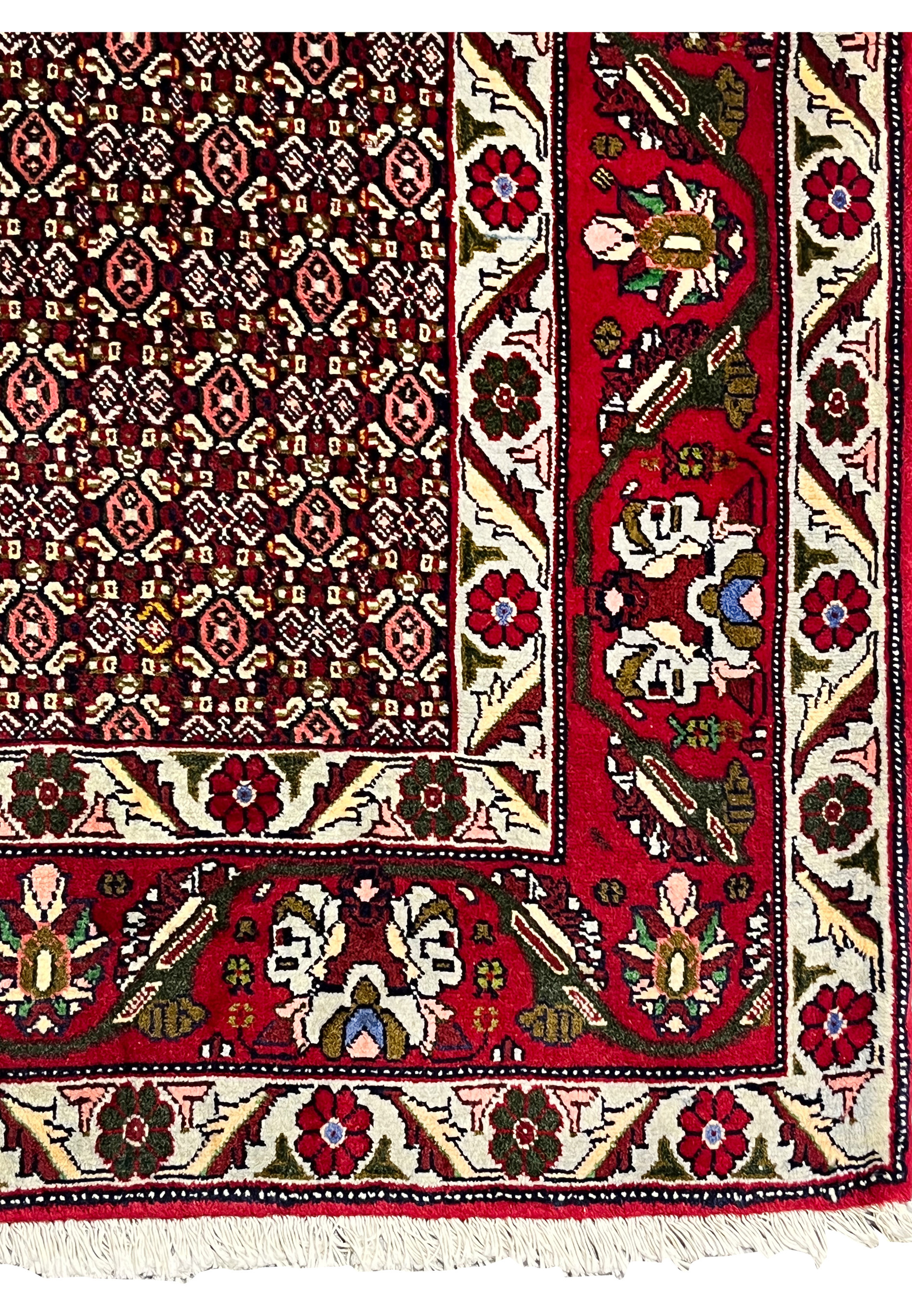 Border detail of Persian Senneh rug featuring stylized floral motifs, olive green accents, ivory outlines, and rich red ground