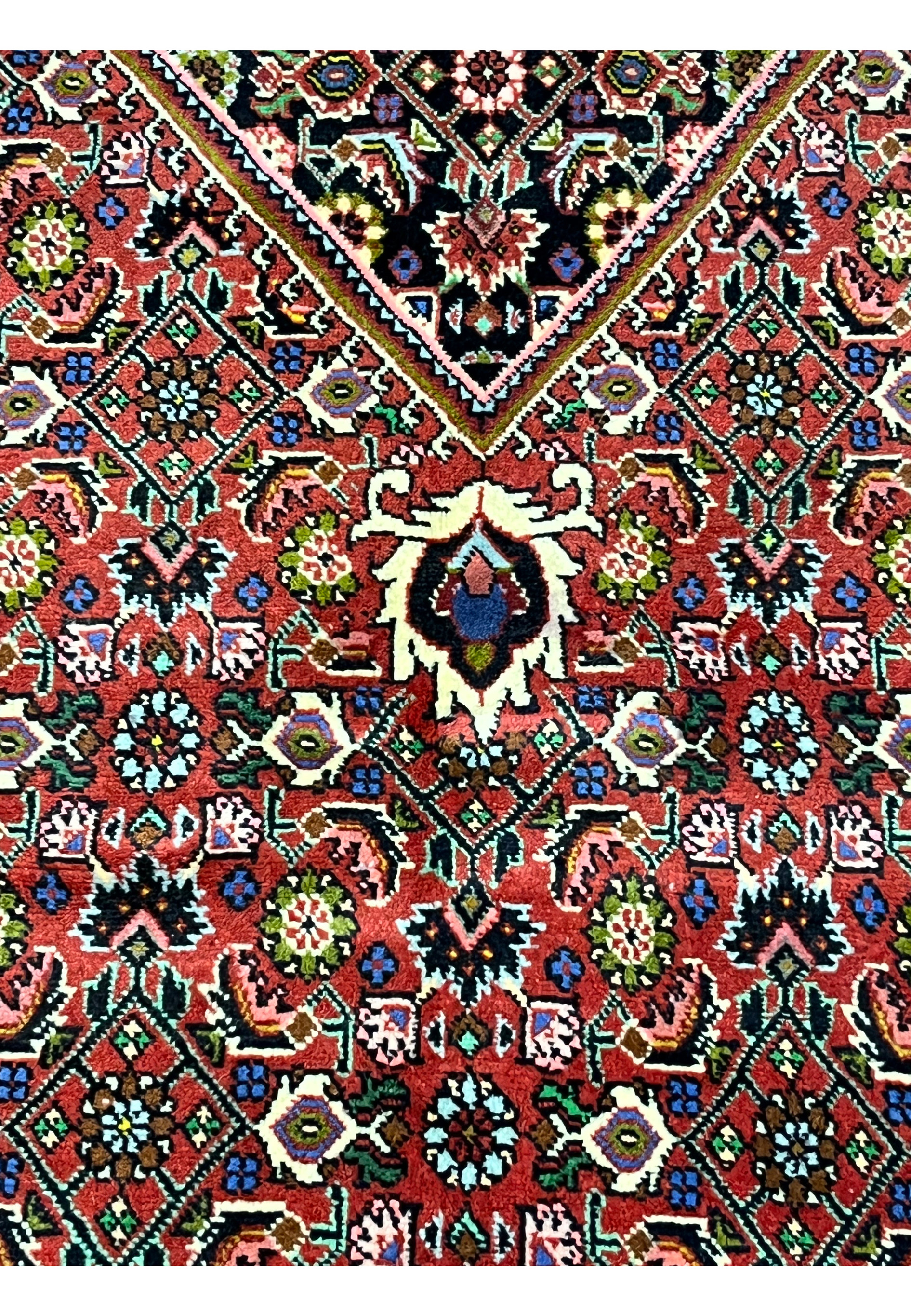 Color close-up of Persian Bijar rug highlighting brick red, ivory, olive, blue, and black wool tones with crisp contrast and sharp definition