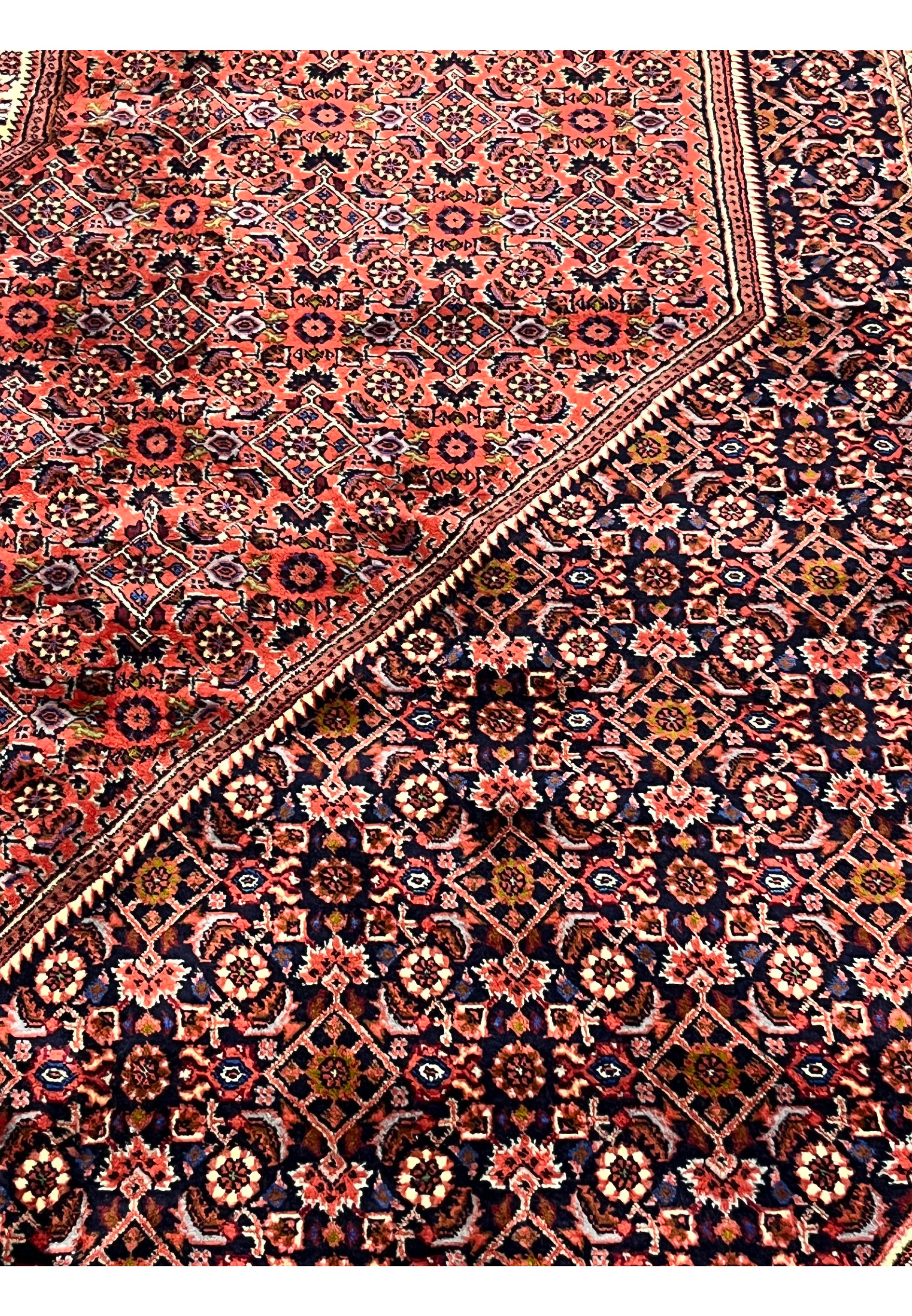 Classic Herati fish motif closeup on red field, Bijar Persian rug hand-knotted wool