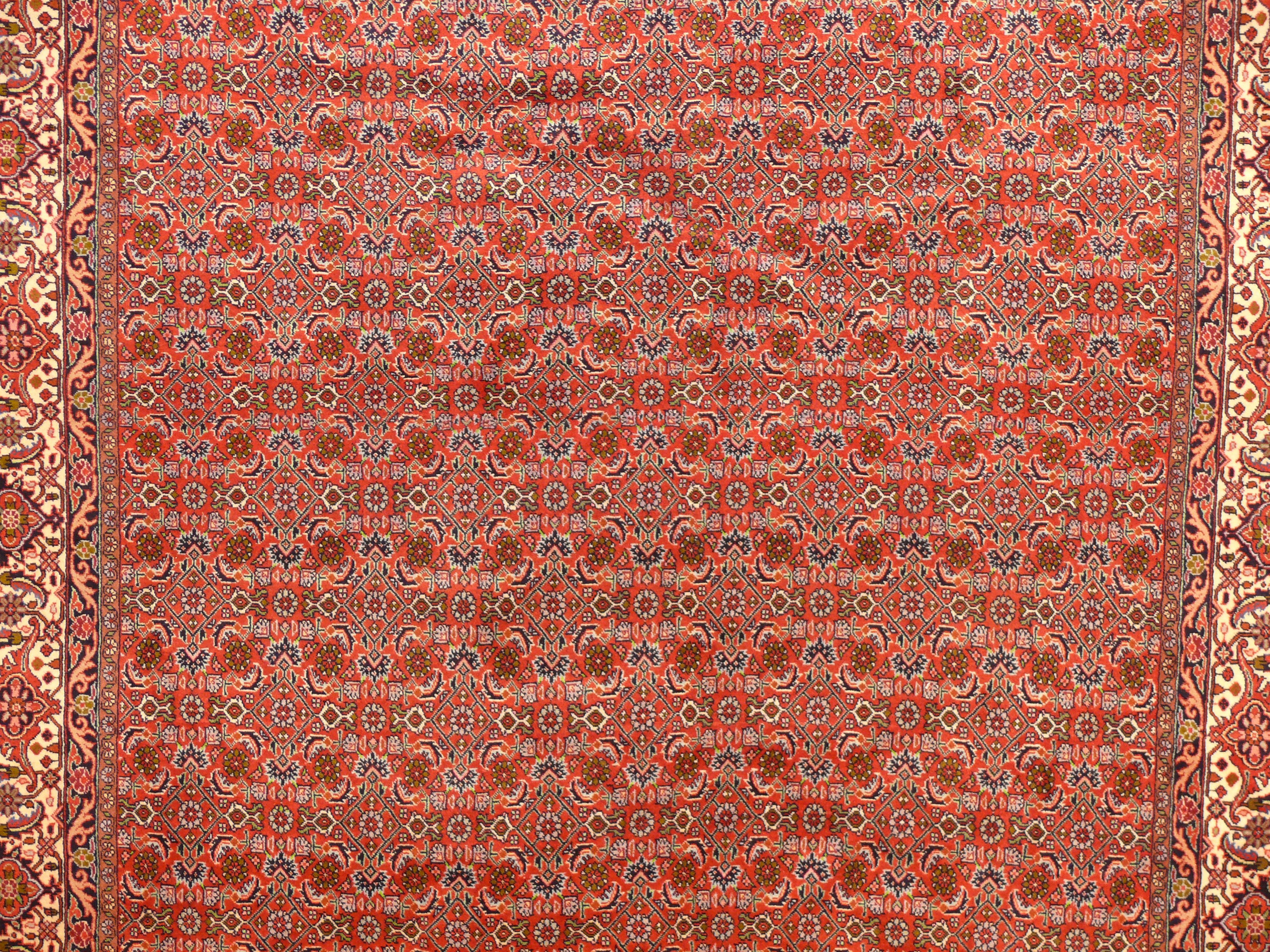 6'7" x 9'8" Persian Bijar Rug All Over Design