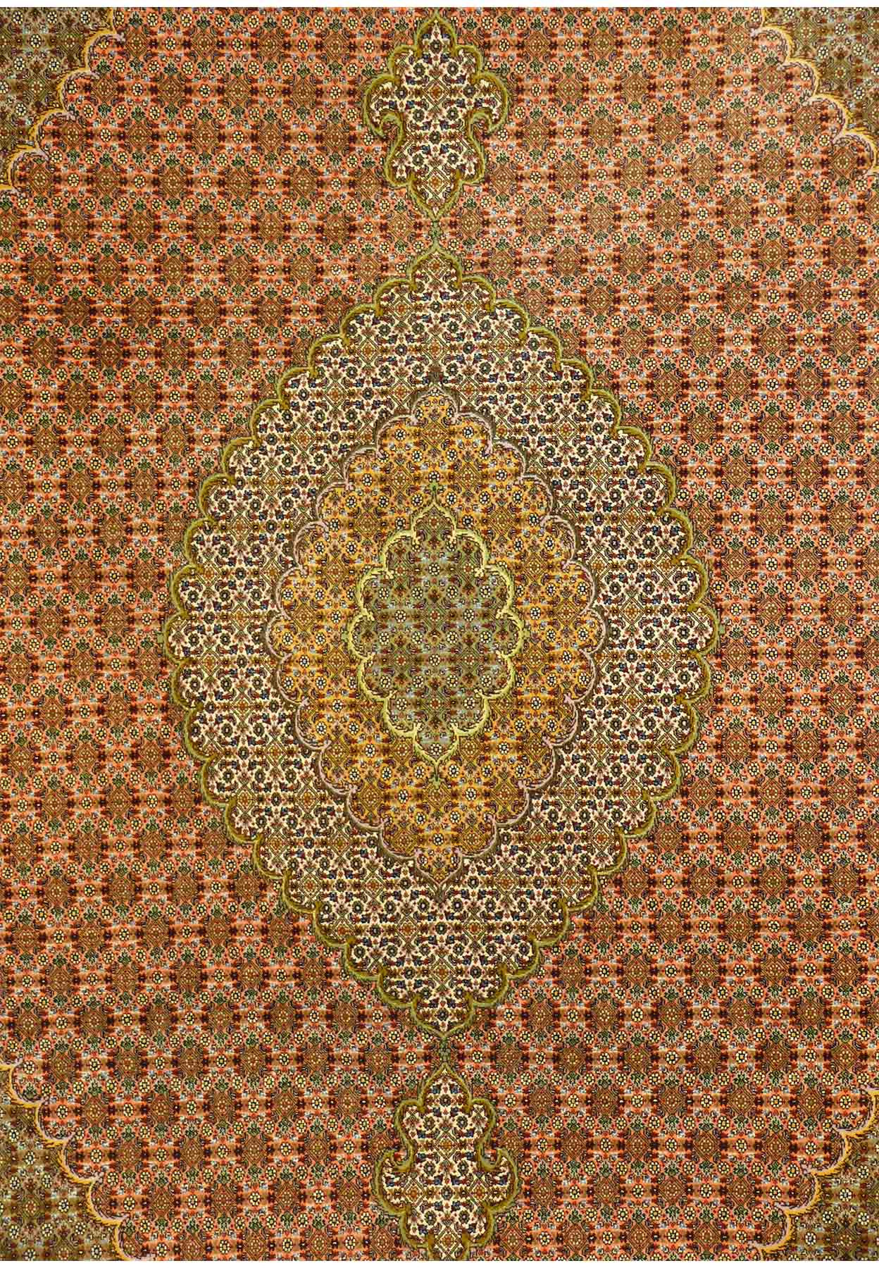 7 x 10  Persian Tabriz 50 Raj Wool and Silk Rug