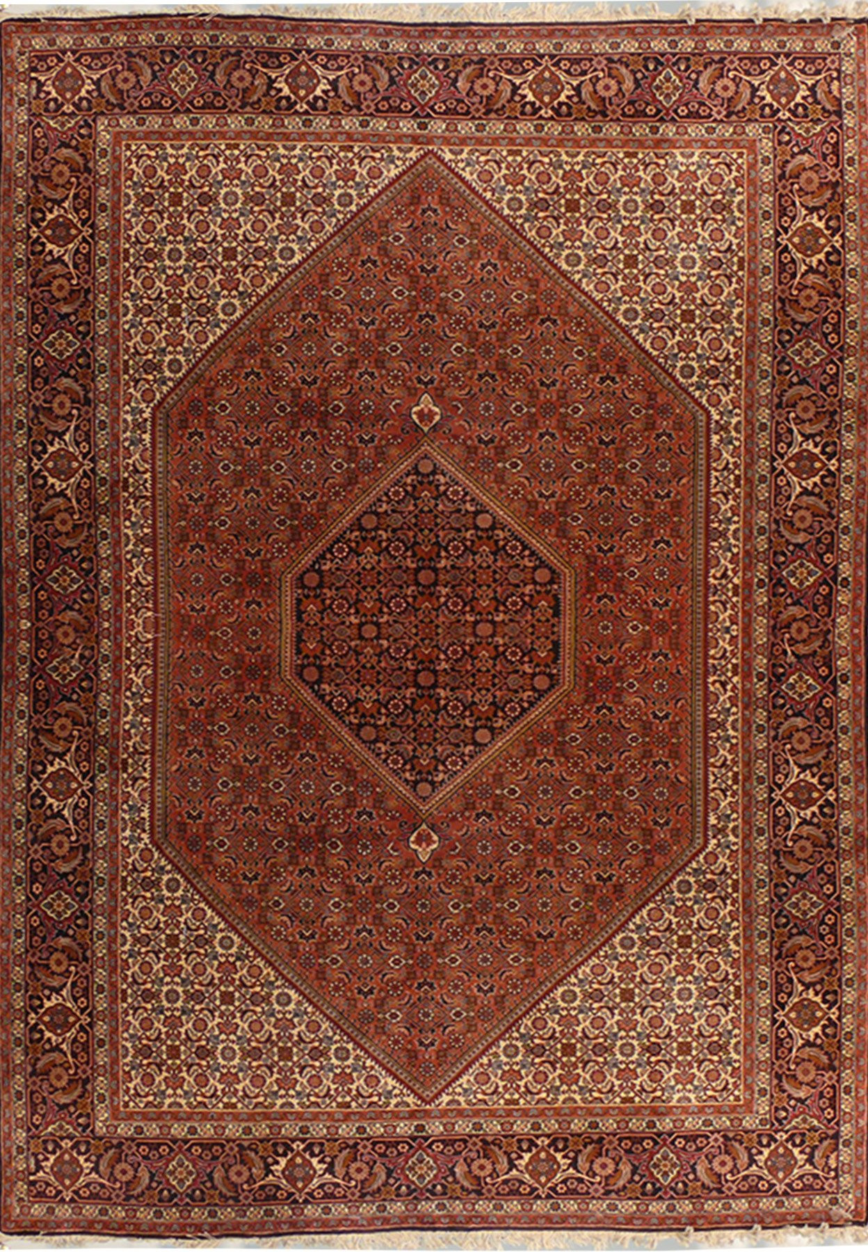 6'5 x 10' Persian Bijar Rug