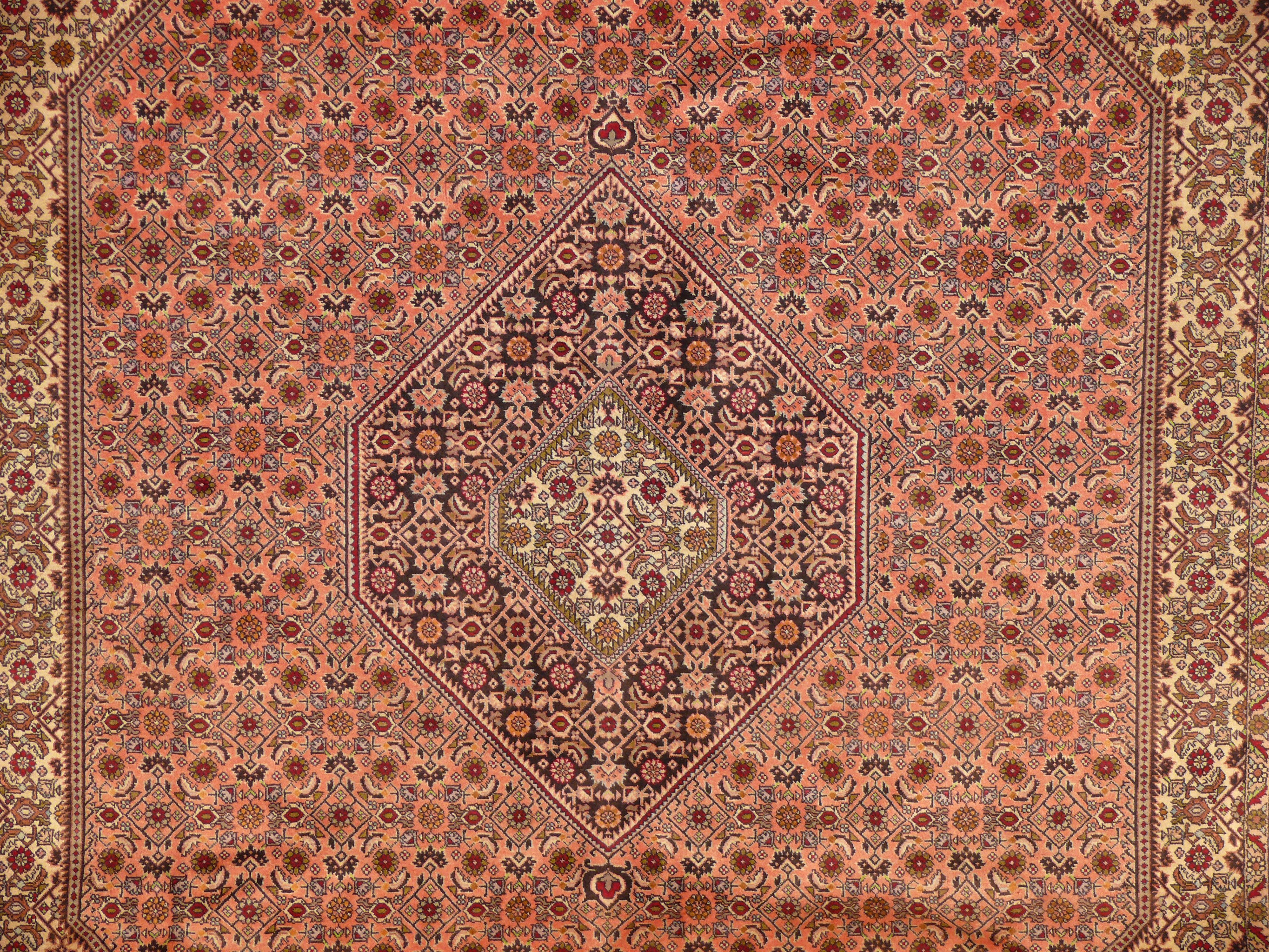 8'3" x 11'6" Persian Bijar Rug
