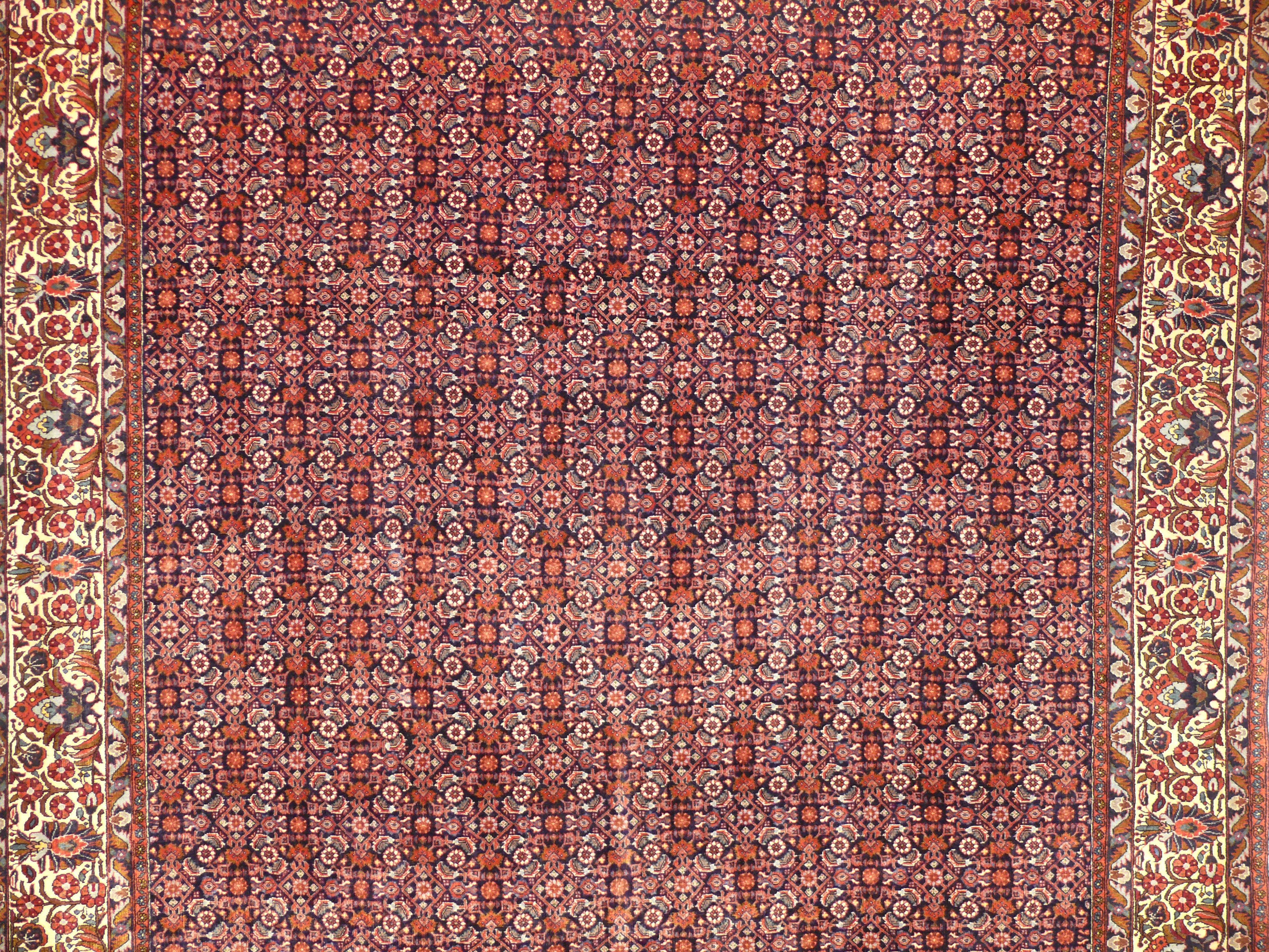 7'2" x 9'5" Persian Bijar All-Over Design Iron Rug