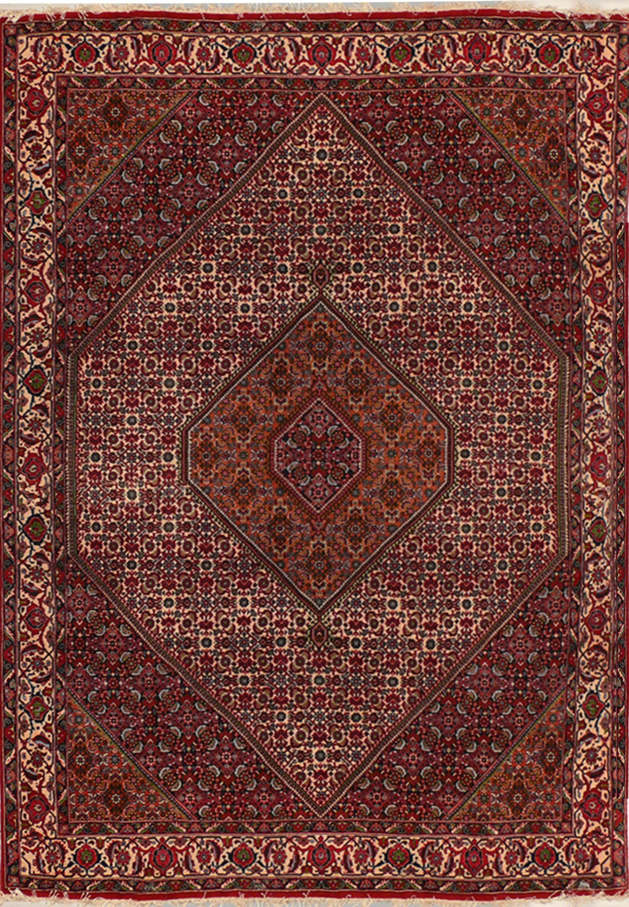 6"3" x 9'5" Persian Bijar Rug
