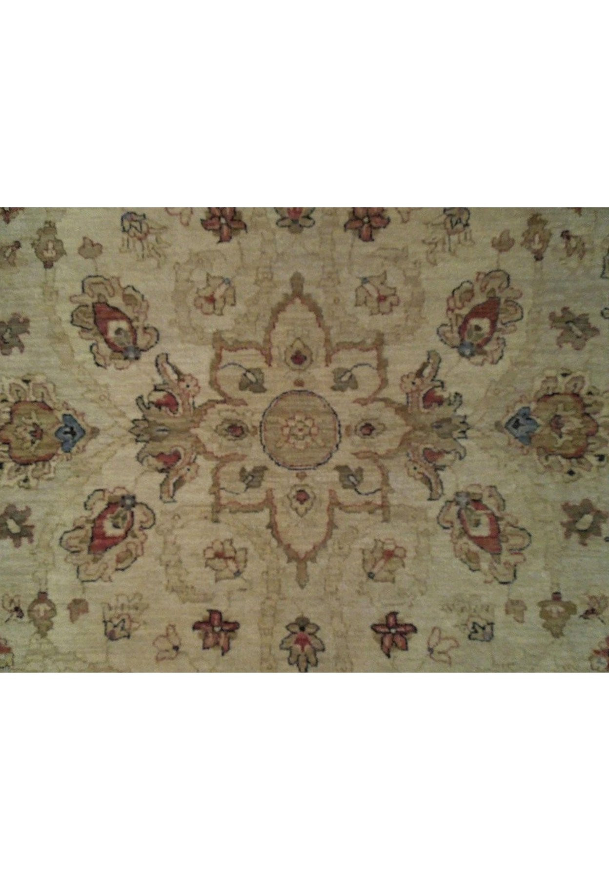 6' x 9' Transitional Chobi Vegetable Dyed Rug 8