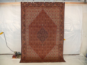 6'8 x 10 Persian Bijar Rug