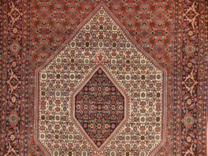 6'4 x 9'2 Persian Bijar Rug