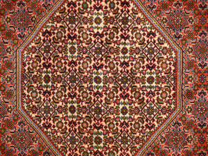 8'1 x 11'10 Persian Bijar Rug