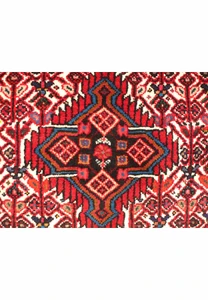 3 x 5 Persian Hamedan Rug | Clearance