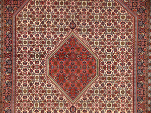 6'6  x 9'9 Persian Bijar Rug Mahi Design