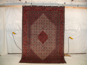 6'6  x 9'9 Persian Bijar Rug Mahi Design