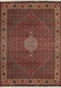 6'6" x 9'9" Persian Bijar Rug