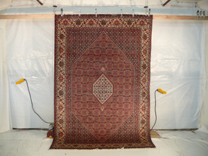 6'6" x 9'9" Persian Bijar Rug