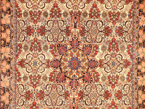 7 x 10 Persian Bijar Rug Floral Design