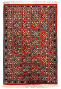 3x4 Persian Qum Kork Rug full view