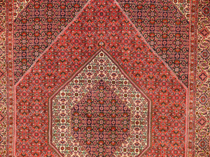 6'6 x 9'8 Persian Bijar Rug