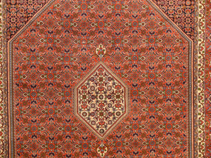 7 x 10 Persian Bijar Rug