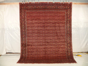 8'2 x 10'4 Persian Bijar All Over Design Rug