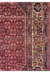 Close-up view of the Bijar Rug’s border, emphasizing the detailed floral motifs and colorful patterns on a navy blue background