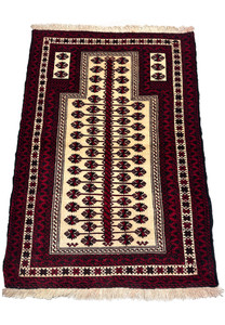 Vertical full view of a 3'6 x 5'4 Persian Baluch Rug showcasing its detailed design.