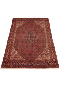 Laid down view of 8' x 11'2" Bijar Persian Iron Rug