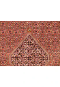 Central field of 8' x 11'2" Bijar Persian Iron Rug
