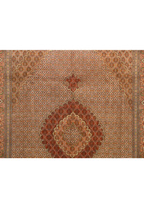 Detailed view of the central field and medallion of the Tabriz Mahi Silk 50 Raj Rug.