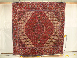 8'4" x 8'4" Bidjar Square Persian Rug hanging also known as iron rug of Persia.