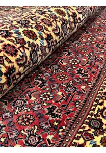 Rolled view of the 13x20 Persian Bijar Rug highlighting the vivid floral motifs and deep red field against the lighter border pattern.