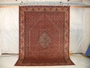 Persian Bijar rug 8x11 hung vertically to show scale, symmetry, and sharp detail under studio lighting