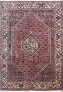 6'6 x 9'4 Persian Bijar Rug
