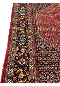 closeup of 10x13 Bijar rug main border with black ground and rose blossoms
