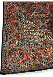 Detailed shot of Bijar rug border with floral sprays, rosettes, and multi-tone vine patterns.