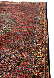 Side view of the Bijar Persian Iron Rug showing the floral border and geometric field layout.