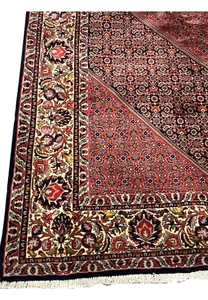 Wide outer border of Persian Bijar rug with scrolling floral vines
