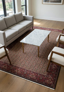 7x9'8 Bijar Persian Iron Rug