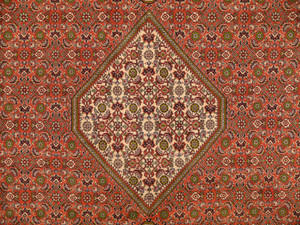 8'2" x 11'4" Persian Bijar Rug