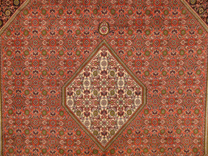 8'2" x 11'4" Persian Bijar Rug